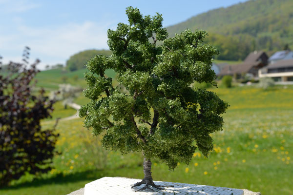 Baum mit neuer Begrünung